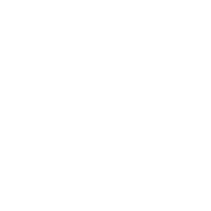 Pigozzo System